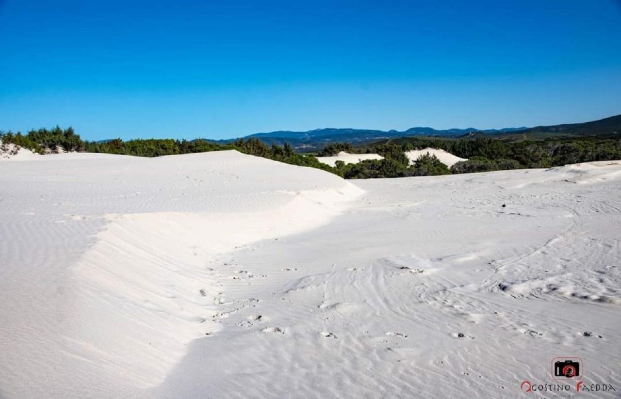 Вилла Casa Vacanza Le Dune Сант'Анна-Аррези Экстерьер фото