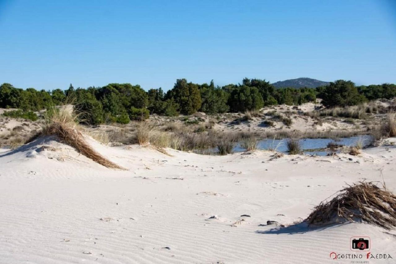 Вилла Casa Vacanza Le Dune Сант'Анна-Аррези Экстерьер фото